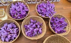 Kilosu 600 bin TL’yi buldu! Sinirleri yatıştırıyor, tatlıdan kozmetiğe her yerde kullanılıyor