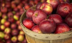 Kışın vazgeçilmezi elma, bu yöntemle ilkbahara kadar bozulmuyor