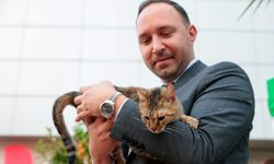 Konak’ta kalpler patili dostlar için attı