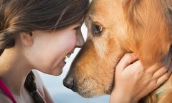 Köpeklerin en çok sevdiği 4 insan profili