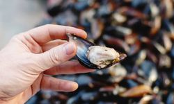 Kumpir bir aileyi yok etti! Uzman isim kritik uyarılarda bulundu