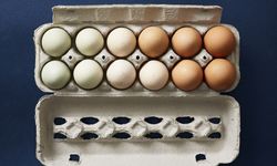 Oda sıcaklığında mı, buzdolabında mı? Yumurtayı saklamanın doğru yolu!