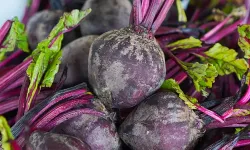 Pancar tek başına değil, doğru eşlikçilerle şifa deposu!