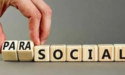 'Parasosyal' 2025'in kelimesi seçildi: Parasosyal ne demek, ne anlama geliyor?