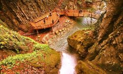 Sonbaharın en fotojenik noktası: Aktaş Şelalesi