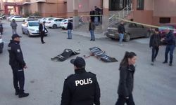 Tahliye edildi, bir ay sonra cinayet işledi: Erzurum'da kan donduran olay