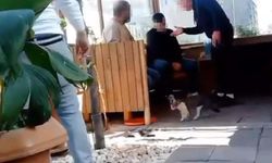 İzmir’de taksi durağında kavga: Şoför sopayla darp edildi