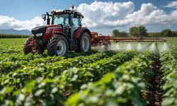 Sebze ve meyvede rekor zam! Tarım-ÜFE yüzde kaç arttı?