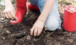 Toprakta oynamak bağışıklığı güçlendiriyor mu? Çocuklar için iyi bir şey mi?