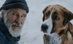 Vahşetin Çağrısı filminin konusu nedir, oyuncuları kimler, ne anlatıyor?