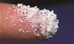 Vücudumuzdaki görünmez tehlike: Mikroplastikler hangi gıdalarda var?