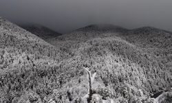 Adeta masal diyarı! Kartpostallık kar manzaraları büyüledi