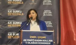 AK Parti Çeşme Kadın Kolları Başkanı Elif Demirer görevinden istifa etti