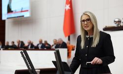 AK Partili Çankırı'nın sözleri tartışma yarattı: İzmir afete hazır mı?