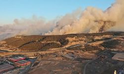 Aliağa ve Foça’daki orman yangınlarının izleri siliniyor