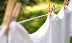 Beyazlarınız artık sararmayacak: İşte uzmanların önerdiği doğal çözüm