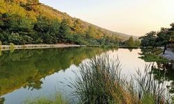 Ne trafik ne benzin derdi... İzmir'de toplu taşımayla gidilen 3 doğa harikası!
