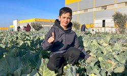 Bornovalı öğrenciler doğayı yerinde keşfetti