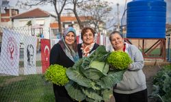 Bornova'nın kadınları kent bostanlarında üretti: Doğal sebzeler hasat edildi