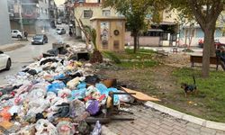 Buca'da çöp dağları vatandaşı çileden çıkardı