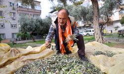 Buca’da dayanışma hasadı başladı