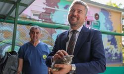 Buca’da 'Satın alma, sahiplen' çağrısı karşılık buldu