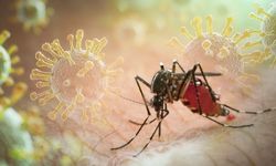 Çocuklar risk altında: Yeni virüs 33 can aldı