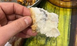 Ekmeğin içinden çıkanı görünce şok oldu