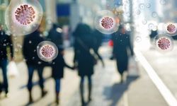 Salgın Türkiye’ye sıçradı: Uzmanlardan uyarı