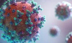 H3N2 virüsü nedir? Türkiye’de görüldü mü, belirtileri neler?