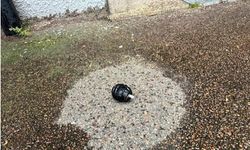 Ülke bu olayı konuşuyor! Bombalı saldırıyı 3 kız çocuğu yaptı