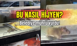 İzmir’de börekçide mide bulandıran görüntü: Fareli vitrin!