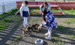 İzmir’de öğrencilere hayvan sevgisi aşılanıyor