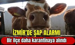 İzmir’de şap alarmı: Bir ilçe daha karantinaya alındı