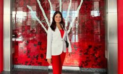 Kadın meclis üyesine trafik terörü!