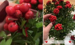 'Kokina dolandırıcıları var' dedi… Aynı yöntemle kendisi dolandırıldı!