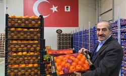 Mandalina ihracatında tarihi rekor