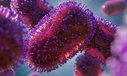 Bulaşıcı hastalıklardan korunmanın şaşırtan yolu: Artık silmeden dokunamayacaksınız!