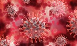 Maymun çiçeği virüsü geri döndü! Türkiye'de görüldü mü?