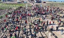 Menemen’de 'İyi ki Doğdun Bebek Hatıra Ormanı' kuruldu