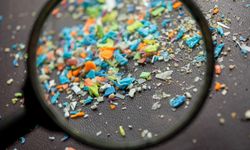 Mikroplastik endişesi büyüyor! Mikroplastikler vücutta nerede birikiyor? Kandaki mikroplastikler temizlenebilir mi?