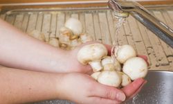 Mutfakta sık yapılan hata: Kültür mantarı nasıl temizlenmeli?