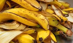 Muz kabuğunu çöpe atanlar dikkat: Şifa deposu çıktı