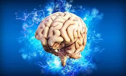 Nörologlar uzak duruyor: Beyne en çok zarar veren 6 popüler gıda