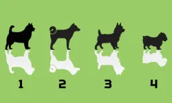 Psikolojik test: İnsanların sizi nasıl gördüğü ortaya çıkıyor!