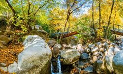 Şehir hayatına mola verin: İzmir merkezine yakın, gürültüden uzak 4 sakin adres!