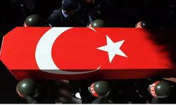 Polis Emre Albayrak şehit olmuştu: Katilin suç kayıtları ortaya çıktı