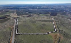 Sessiz sedasız başladı: 15 bin hayvanı ilgilendiren proje