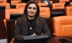 CHP’li Kılıç: Emeklinin gasp edilen onuru geri verilmeli