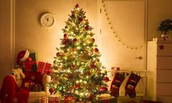 Yılbaşı ağacını nereye koymalısınız? Feng Shui’ye göre enerjiyi kesen noktalar